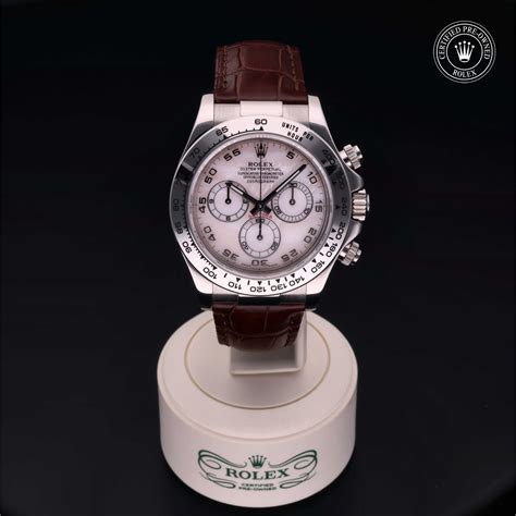 rolex usati menichelli